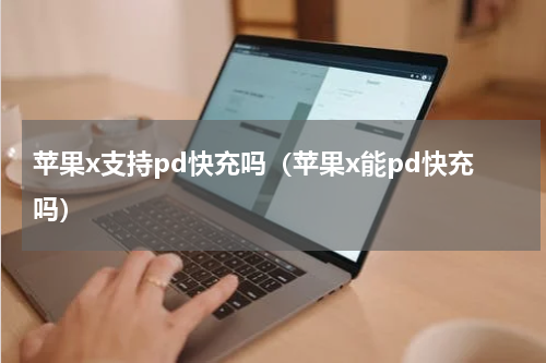 苹果x支持pd快充吗（苹果x能pd快充吗）