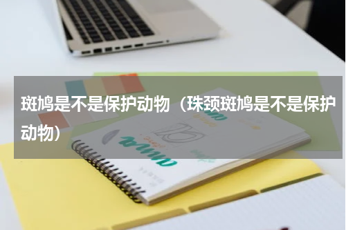 斑鸠是不是保护动物（珠颈斑鸠是不是保护动物）