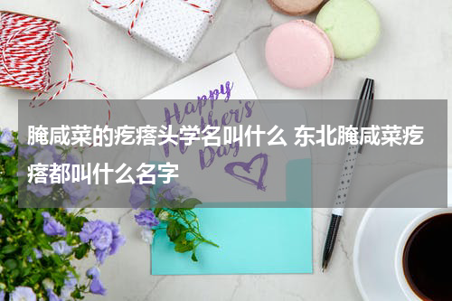 腌咸菜的疙瘩头学名叫什么 东北腌咸菜疙瘩都叫什么名字