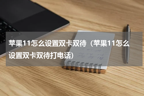 苹果11怎么设置双卡双待（苹果11怎么设置双卡双待打电话）