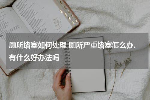 厕所堵塞如何处理 厕所严重堵塞怎么办,有什么好办法吗