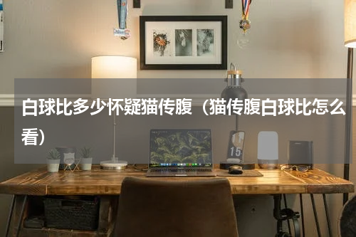 白球比多少怀疑猫传腹（猫传腹白球比怎么看）