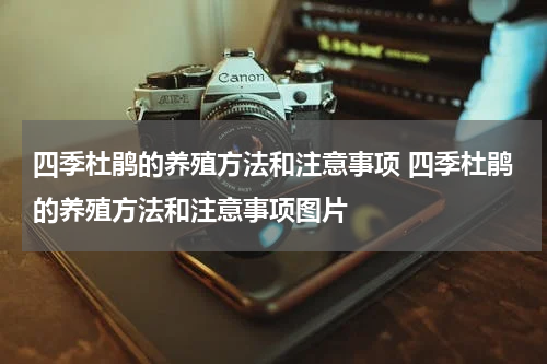 四季杜鹃的养殖方法和注意事项 四季杜鹃的养殖方法和注意事项图片