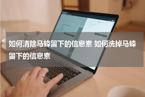 如何清除马蜂留下的信息素 如何洗掉马蜂留下的信息素