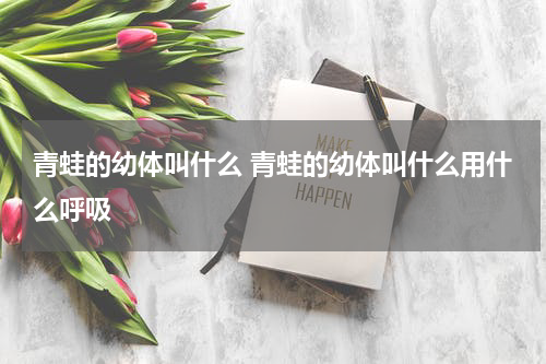 青蛙的幼体叫什么 青蛙的幼体叫什么用什么呼吸