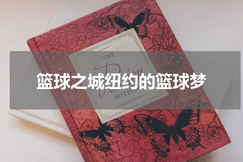 篮球之城纽约的篮球梦