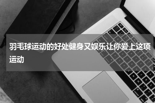羽毛球运动的好处健身又娱乐让你爱上这项运动