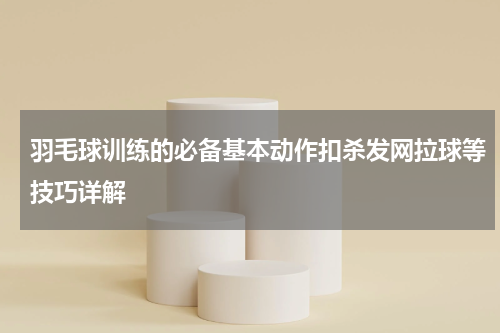 羽毛球训练的必备基本动作扣杀发网拉球等技巧详解