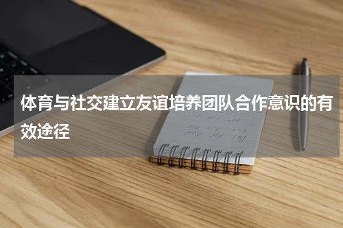 体育与社交建立友谊培养团队合作意识的有效途径