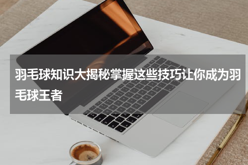 羽毛球知识大揭秘掌握这些技巧让你成为羽毛球王者