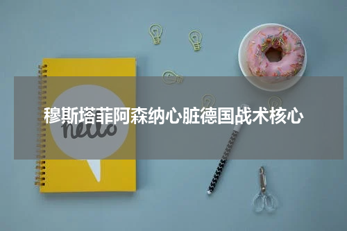 穆斯塔菲阿森纳心脏德国战术核心