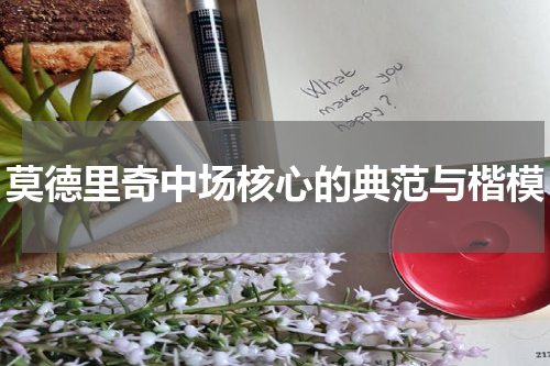 莫德里奇中场核心的典范与楷模