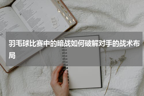 羽毛球比赛中的暗战如何破解对手的战术布局