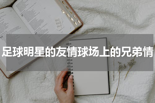 足球明星的友情球场上的兄弟情