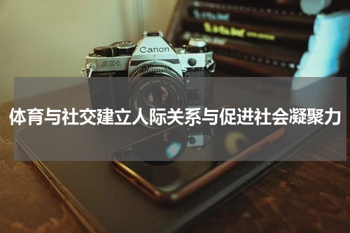 体育与社交建立人际关系与促进社会凝聚力