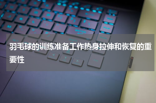 羽毛球的训练准备工作热身拉伸和恢复的重要性