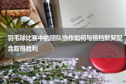 羽毛球比赛中的团队协作如何与搭档默契配合取得胜利