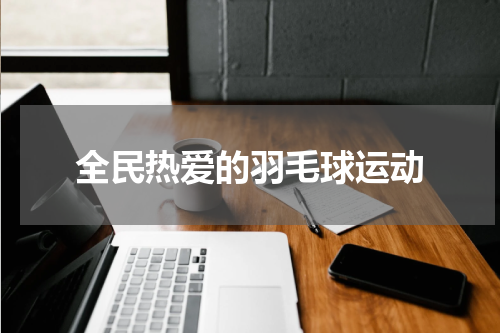 全民热爱的羽毛球运动