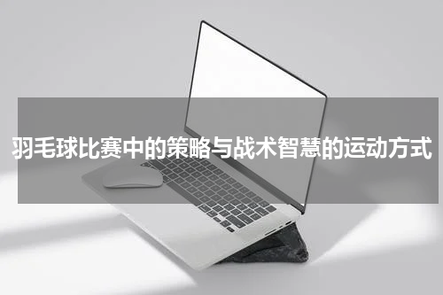 羽毛球比赛中的策略与战术智慧的运动方式