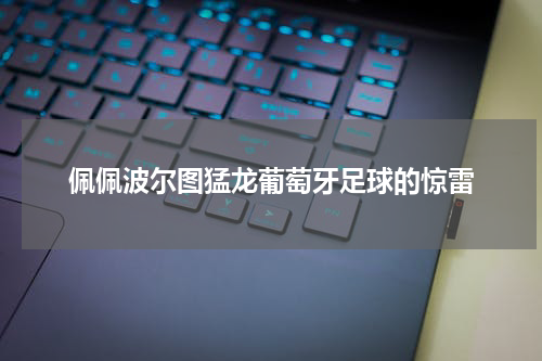 佩佩波尔图猛龙葡萄牙足球的惊雷