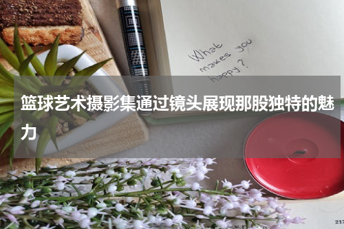 篮球艺术摄影集通过镜头展现那股独特的魅力