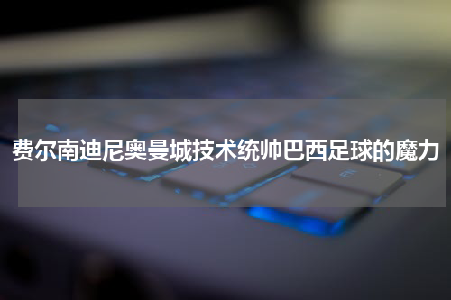 费尔南迪尼奥曼城技术统帅巴西足球的魔力