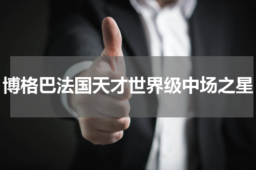 博格巴法国天才世界级中场之星